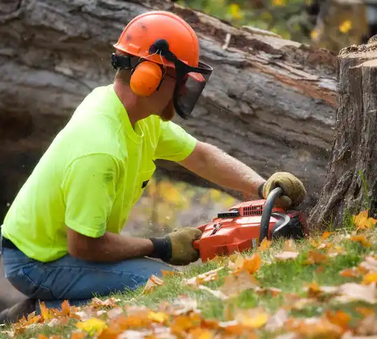 tree services Broken Bow